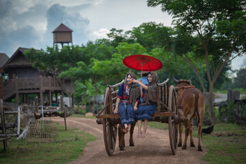 Thai women ride a cart as a vehicle.The journey of Thai people in the past used ox wagons as a...