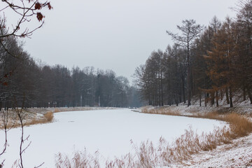 Snow-covered Alexander Park in Pushkin in autumn.