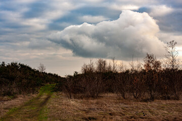 clouds over the field