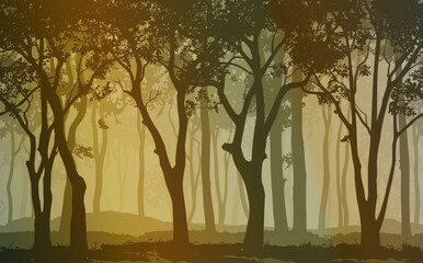 Seamless background horizontal. Silhouette of the deciduous forest, vector illustration	 - 618055076