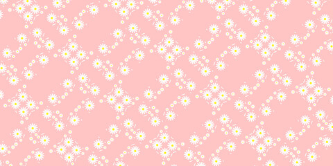 White daisy,daisies seamless on peach pink pastel background.  