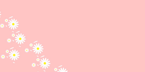 White daisy,daisies seamless on peach pink pastel background.  
