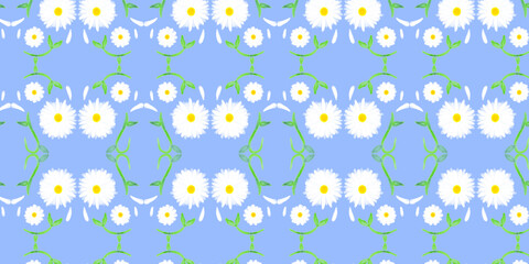 White daisy,daisies seamless on pastel blue background.  