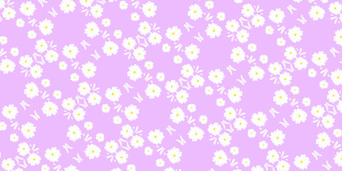 White daisy,daisies seamless on purple pastel background.  