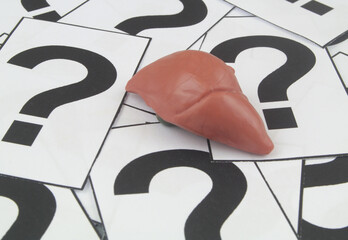 Human liver on question marks background. Liver health questions concept.