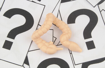 Large intestine on question marks background. 