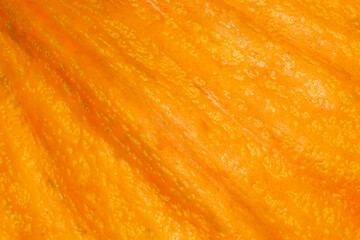 close up of orange pumpkin peel texture