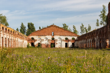 Fototapeta na wymiar settlement of the Novgorod region. Ruined Ruins.