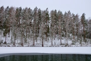 Winter Wonderland landscape over the frozen lake with the melted centre the snow covered trees on the shore