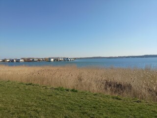 a body of water surrounded by tall grass and trees with homes in the distance