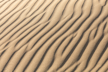 Fototapeta na wymiar sand texture dunes, selective focus, blur, background, peace and quiet