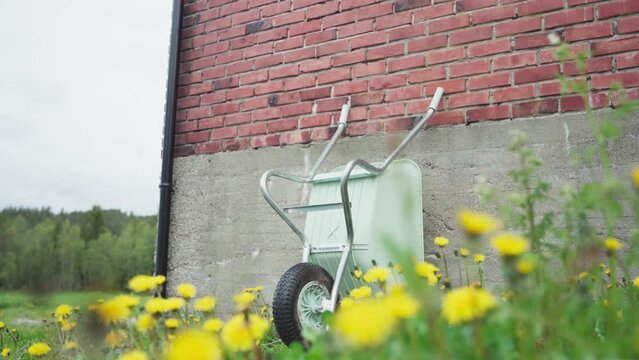 Flower Spring Fields With Wheelbarrow Lean On The Wall At The Backyard. Selective Focus