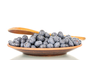 Several sweet blueberries with clay plate and wooden spoon, macro, isolated on white background.