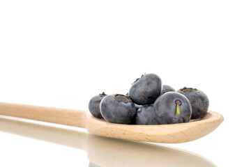 A few sweet blueberries with a wooden spoon, macro, isolated on a white background.