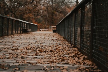 Landscape of a bridge covered in dried leaves in a forest in autumn