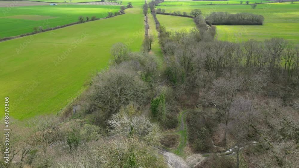 Sticker aerial of a narrow road surrounded by naked trees with a green field in the background