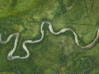 aerial view of the river in green field, water stream from above, nature landscape by drone