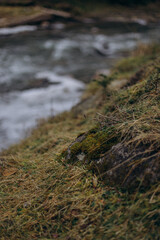 grass and water