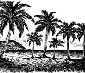 Engraved vector illustration of a scenic coastal view adorned with palm trees