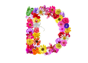 D shape made of various kinds of flowers petals isolated on transparent background, PNG