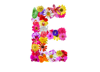 E shape made of various kinds of flowers petals isolated on transparent background, PNG