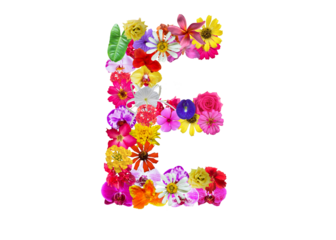 E shape made of various kinds of flowers petals isolated on transparent background, PNG