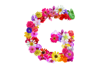 G shape made of various kinds of flowers petals isolated on transparent background, PNG