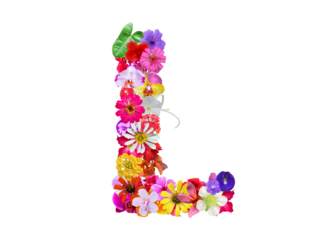 L shape made of various kinds of flowers petals isolated on transparent background, PNG