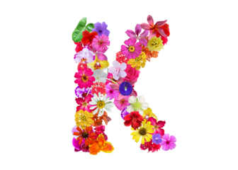 K shape made of various kinds of flowers petals isolated on transparent background, PNG