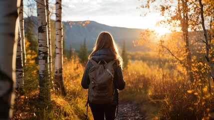 A Young Woman Hiking in a Silver Birch Forest During the Golden Hour