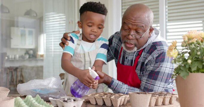 Happy african american grandfather and grandson embracing, planting flowers on balcony, slow motion