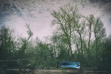 an old boat parked on top of a field surrounded by trees