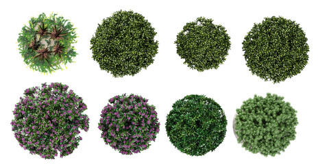 Top view of pittosporum tobira, Daphne Spring Pink Eternal,Rosemary,Fragrance,Donkey tail succulent,Tradescantia spathacea isolated transparent background collection