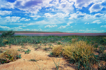 Pink salt lake in the steppe on a summer sunny day