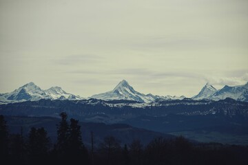 Scenic view of a mountain range covered with trees and snow on a cloudy day in Switzerland