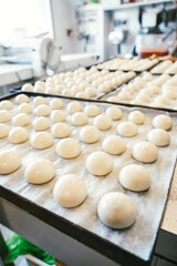 unbaked buns production of traditional sicilian food in an industrial bakery.
