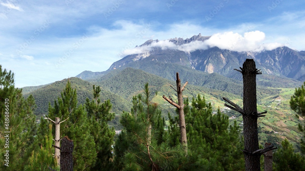 Aufkleber view of a mountain range with a bunch of trees in the foreground