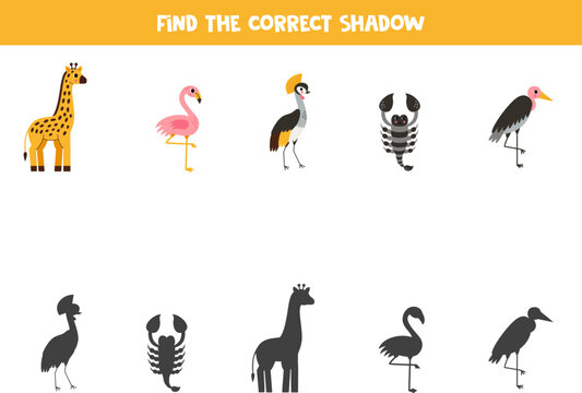 Find shadows of cute African animals. Educational logical game for kids.
