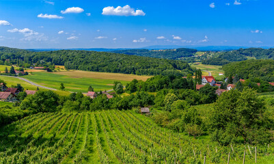 Fototapeta na wymiar Landscape Straden, Styria, Austria