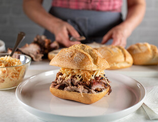 Pulled pork sandwich with coleslaw