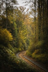 Fototapeta premium Scenic railway track passing through a lush forest with trees covered in autumn foliage