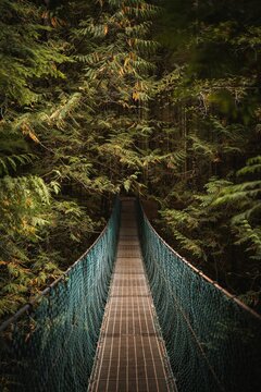 Moody Suspension Bridge Traverses Through A Lush Green Forest, British Columbia, Vancouver Island