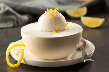 Scoop of vanilla and coconut ice cream in bowl on dark background..