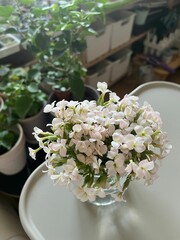 White table is situated near a window, with white flowers in a small vase