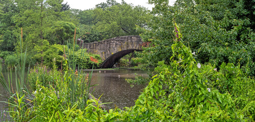 Gapstow Bridge in Central Park, in rain