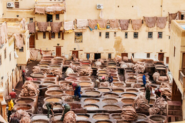 Chouara Tannery