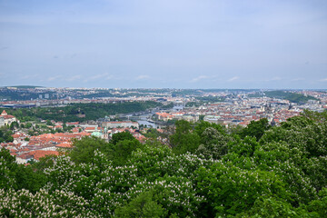 Aussicht vom Petirin auf Prag mit seinen vielen Türmen