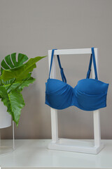 Women's swimsuit. A bright blue turquoise bra on a stand next to a green indoor flower. Beachwear.