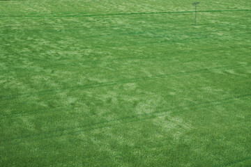 Aerial. Farming and agriculture industry. Green grass texture background. Spring or summer background with green grass