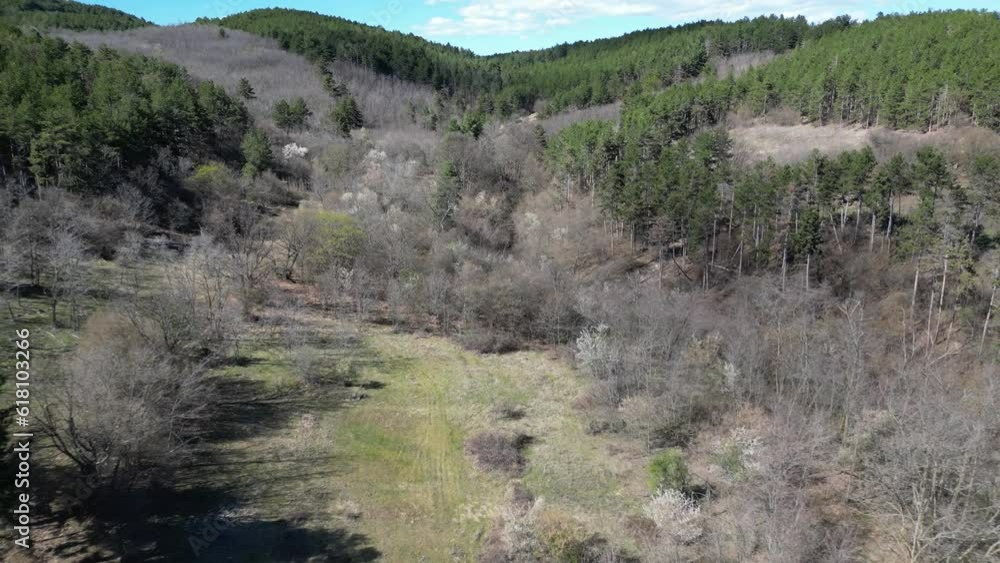 Poster drone scene over green fields and trees with green vegetation trees mountains in the summer
